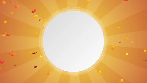 2D Cartoon Autumn Leaf Falls Loops Stock Footage 256085259