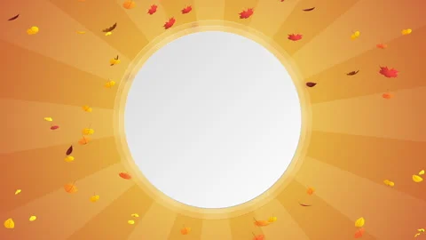 2D Cartoon Autumn Leaf Falls Loops Stock Footage 256085307