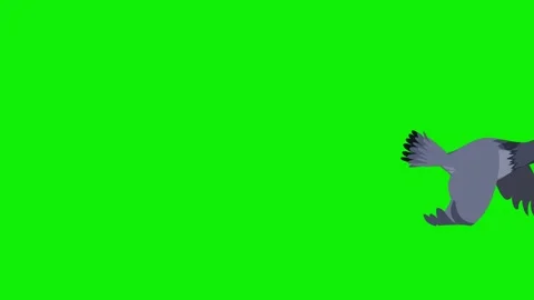 2d cartoon pigeon bird flying frame by f... | Stock Video | Pond5