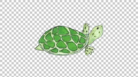 2D cartoon tortoise walking loop alpha Stock Footage 49071505