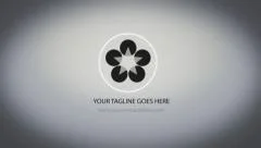 2D Circle Corporate Logo Opener Stock After Effects