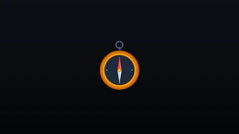 2d compass Stock Footage 339532829