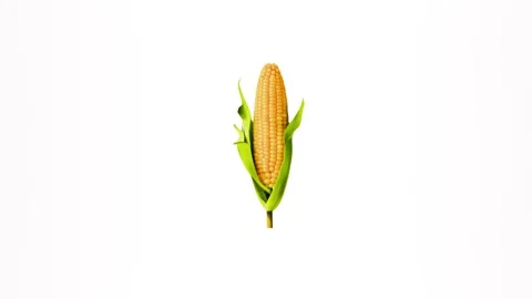 2d corn icon isolated on a white background Stock Footage 284237321