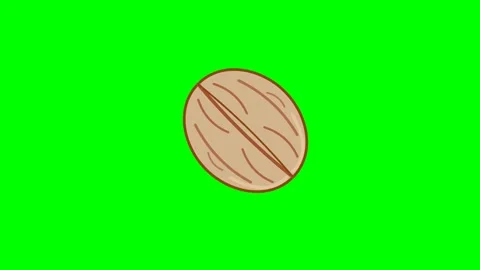 2D Flat Icon Motion Graphic of a Detailed Brown Walnut Rolling Smoothly on .. Видео 346007138