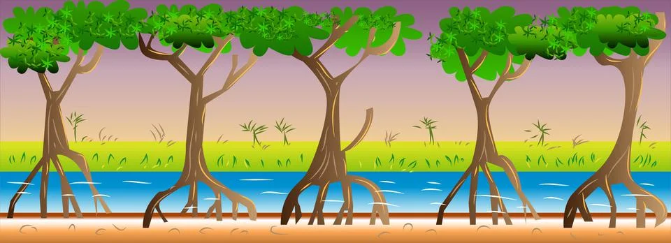 2D Flat Mangrove Forest Game Background Vector Illustration Stock Illustration