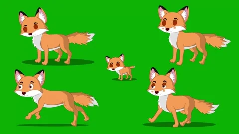 2d fox running standing walking on green screen completely ready to use Stock Footage 316474769