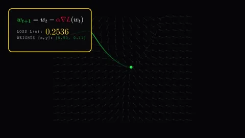 A 2D Gradient Vector Field, calculating the partial derivatives of the loss Stock Footage 334583579