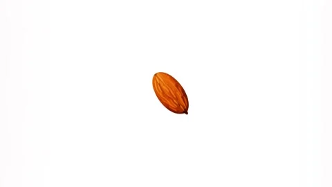 2d Graphic almond icon isolated on a white screen Stock Footage 285078963