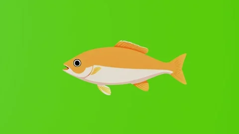 2d Graphic blue fish isolated on a green screen Stock Footage 284259444