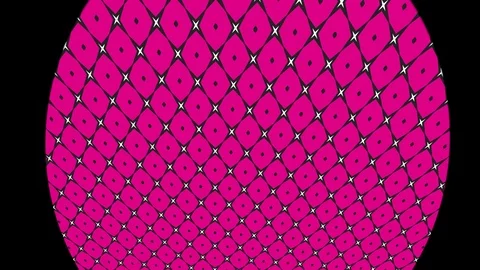 2D graphic motif that rotates counterclockwise and then time, in 4K. Stock Footage 112239972