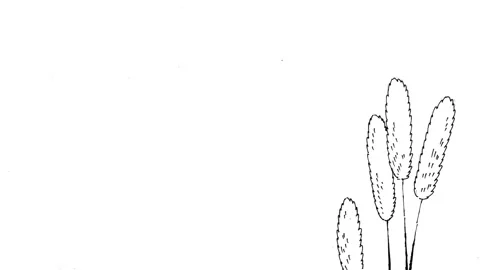 2D hand-drawn anime style blowing grass element animation loop background Stock Footage 340997750