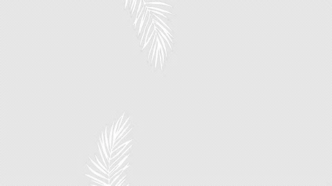 2D hand drawn leaves animation Vídeo Stock 157865289