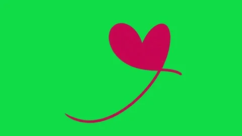 2D Hand Drawn Pink Heart Flourish Line Animation on Green Screen Background Stock Footage 344809754