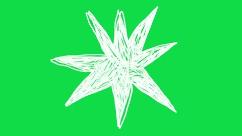 2D Hand Drawn White Line Starburst Sparkle Animation Overlay on Green Screen Stock Footage 344809473