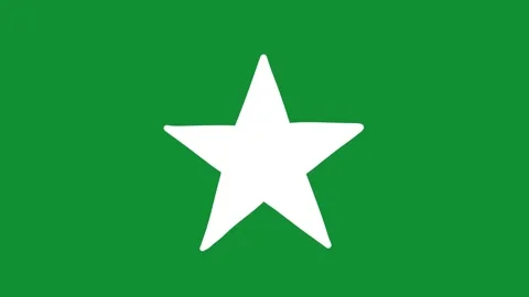 2D Hand Drawn White Star Shape Animation Green Screen Overlay 库存影片 340531219
