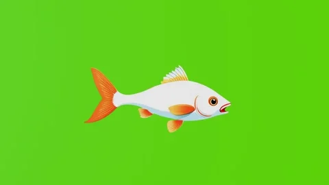 2d illustration of a white fish with orange fins on a green screen Stock Footage 282377588