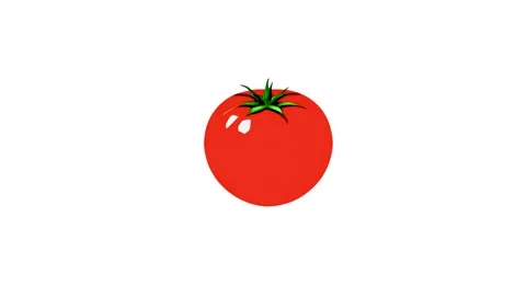 2d model of a tomato isolated on a white background. 4k Stock Footage 283352594