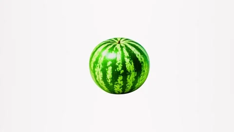 2d model a whole ripe watermelon isolated on a white background. Stock Footage 283352668
