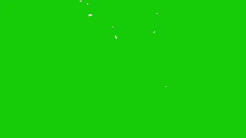 2D motion smoke Elements pack Stock Footage 300236789