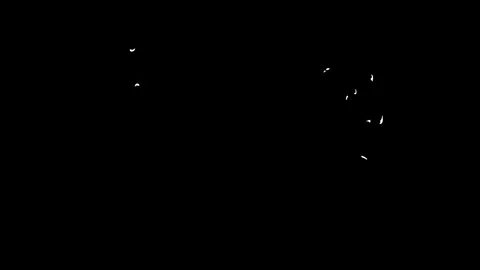 2D motion smoke Elements pack Stock Footage 300236796