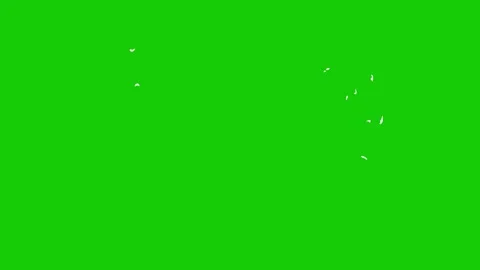 2D motion smoke Elements pack Stock Footage 300236799