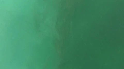 2d ocean sea weed in the waves Stock Footage 44882193