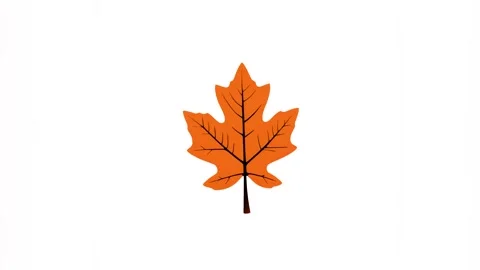 2d orange maple leaf isolated on a green screen Stock Footage 283352432