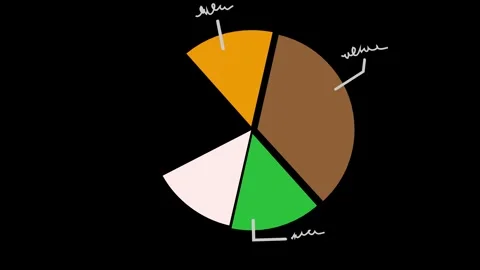 2D Pie Chart Animation Background with Green Screen for Data Visualization Stock Footage 311964960