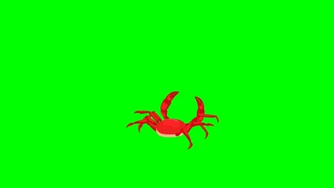 2d red crab walking on sandy beach, making gurgling sounds. Stock Footage 295535723