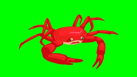 2d red crab walking steadily on beach, snapping claws. Stock Footage 295535715