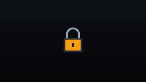 2d secure padlock Stock Footage 339532844