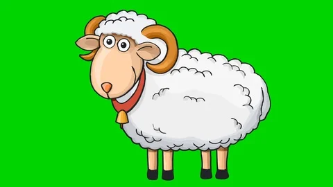 2D Sheep Animation on Green Screen | Stock Video | Pond5