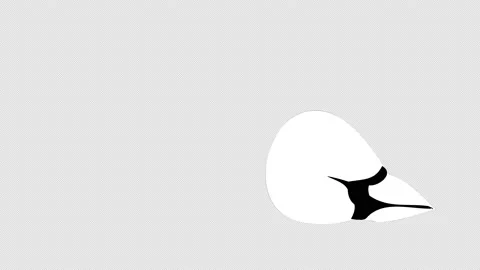 2D Smoke Elements Motion Graphics Pack Stock Footage 185998282