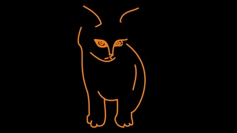 2D Stroke Animation Cute Orange Cat Black Background Stock Footage 317445558