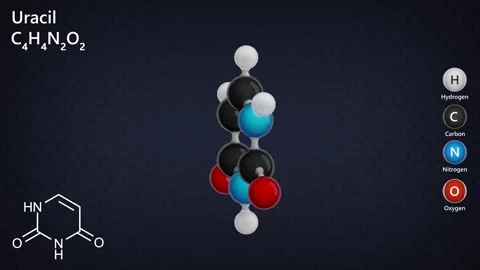 The 2d structure and a 3d model of molecule Uracil (C4H4N2O2). Stock Footage 284914967