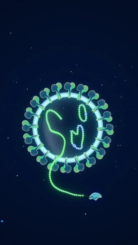 2D Stylized Hantavirus Microbe Rotating for Science and Medical Education Stock Footage 334190029