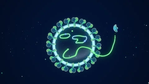 2D Stylized Hantavirus Microbe Rotating for Science and Medical Education 動画素材 334190043