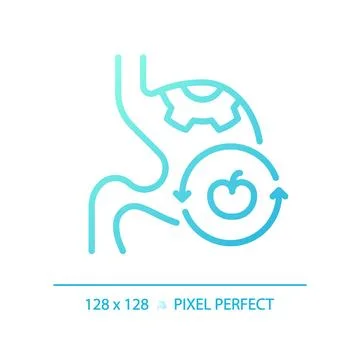 2D thin line gradient digestive system with fruit icon Stock Illustration