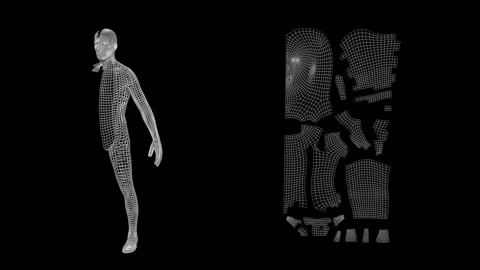 2d uv map derived from human anatomy. Unwrapped 3d man model. Stock Footage 305290450