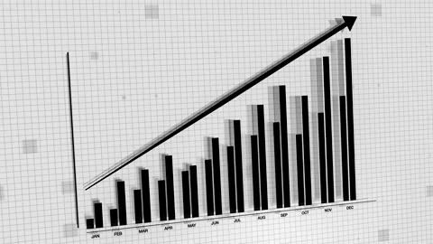 2D vector rising black and white bar gra... | Stock Video | Pond5