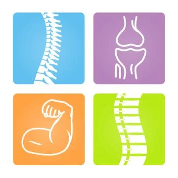 2D Vector Spinal column Musculoskeletal Image with Rounded Rectangle on White Stock Illustration
