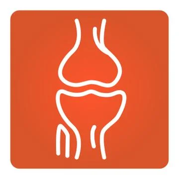 2D Vector Spinal column Musculoskeletal Image with Rounded Rectangle on White Stock Illustration