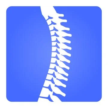 2D Vector Spinal column Musculoskeletal Image with Rounded Rectangle on White Stock Illustration