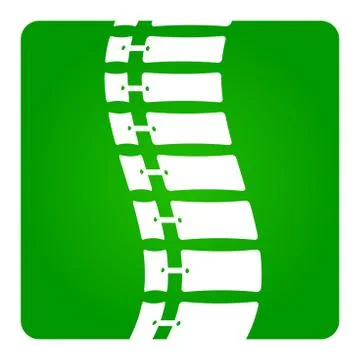 2D Vector Spinal column Musculoskeletal Image with Rounded Rectangle on White Stock Illustration