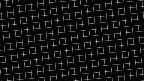 2D white line grid rotating on black background. Stock-Footage 266697003