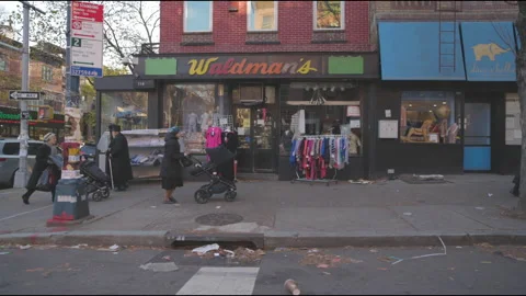 2E8A1651 V1-0045 Stock Footage 161295802