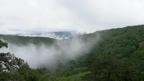2FPS Time lapse-Wispy clouds swirl through trees Blue Ridge Mountain Stock-Footage 111520485