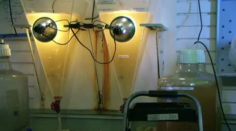 2funnels Stock Footage 10607801