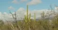 2K 30p close - Winter cloud formation over mountains in the desert in time lapse Web Footage