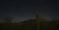 2K 30p Night sky behind mountains and Saguaro Cacti - Saguaro and planes Web Footage